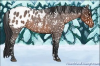 Horse Color:Brown Roan Blanket 