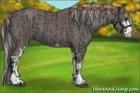 Horse Color:Black Sabino  and Silver Black Sabino 