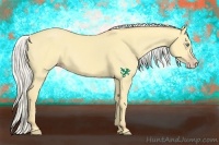 Horse Color:Silver Amber Cream Champagne Dun 