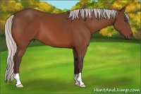 Horse Color:Silver Bay