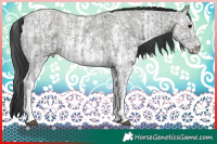 Horse Color:Black Ice Sabino  and Grullo Ice Sabino 