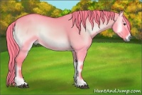 Horse Color:Watercolor Red Dun Onyx 