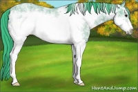 Horse Color:Watercolor White Spotted Bay Ice Frame