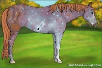 Horse Color:ERROR: UNKNOWN ANOMALY