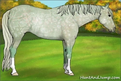 Horse Color:Watercolor Silver Black Ice Rabicano 
