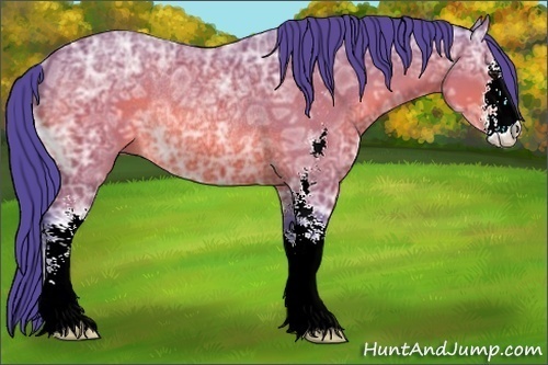Horse Color:Watercolor Bay Ice Sabino Rabicano 