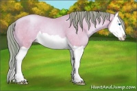 Horse Color:Watercolor Sable Cream Champagne Pearl Splash 