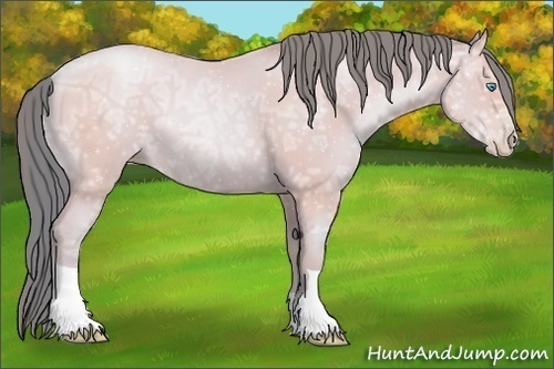 Horse Color:Watercolor Classic Cream Champagne Ice Pearl 