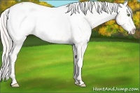 Horse Color:Silver Classic Champagne Snowcap