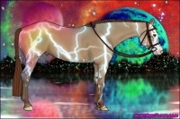 Horse Color:Red Dun Roan Splash Frame