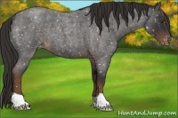 Horse Color:Liver Red Roan Snowflake Varnish