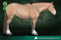 Horse Color:Amber Champagne Rabicano 