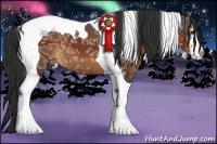 Horse Color:Brown Ice Sabino Tobiano Appaloosa