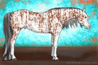 Horse Color:Bay Sabino and Bay Sabino Rabicano