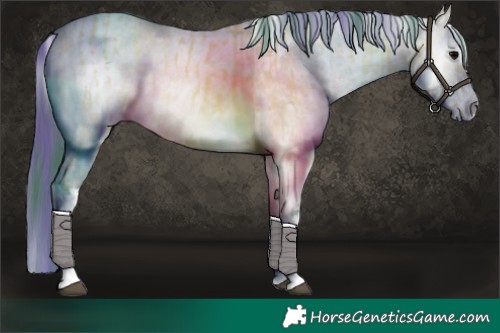Horse Color:Watercolor White Spotted Bay Ice Onyx Rabicano and Watercolor White Spotted Bay Ice Onyx Tobiano Rabicano
