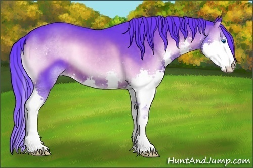 Horse Color:Watercolor Brown Onyx Splash