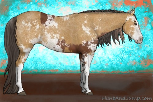 Horse Color:Chestnut Sabino  and Buckskin Sabino 