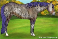 Horse Color:Watercolor Brown Ice Onyx 