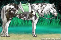 Horse Color:Midnight Liver Chestnut Sabino and Midnight Bay Sabino