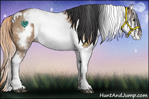 Horse Color:White Spotted Bay Dun Rabicano and White Spotted Red Dun Rabicano