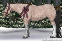 Horse Color:Brown Ice  and Brown Ice 