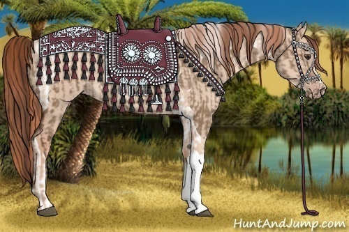 Horse Color:Liver Red Dun Tobiano Rabicano  and Gold Champagne Dun Rabicano 