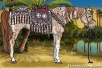 Horse Color:Liver Red Dun Tobiano Rabicano  and Gold Champagne Dun Rabicano 