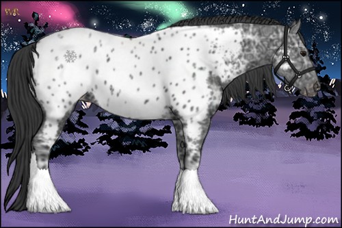 Horse Color:Black Ice Near Leopard