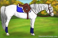 Horse Color:Black Sabino Appaloosa Rabicano 