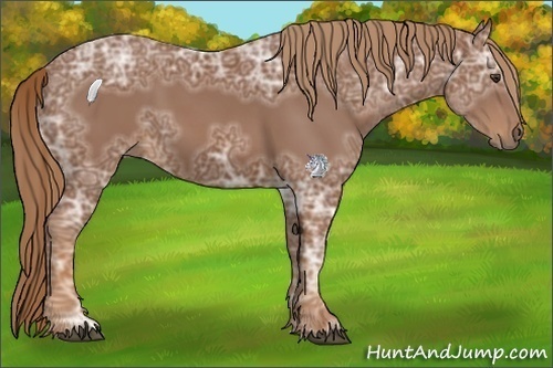 Horse Color:Chestnut Ice 