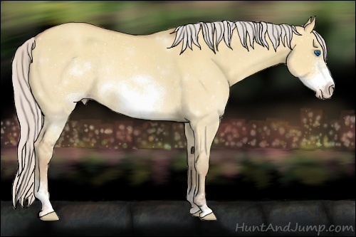 Horse Color:Silver Sable Champagne Dun Sabino Frame Rabicano 