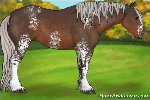 Horse Color:White Spotted Silver Brown 