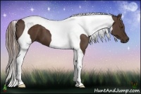 Horse Color:Liver Chestnut Tobiano 