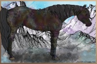 Horse Color:Midnight Bay Ice