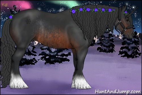 Horse Color:Brown Rabicano  and Brown Rabicano 