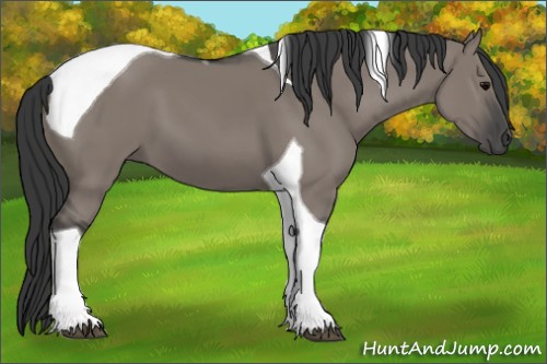 Horse Color:Grullo Tobiano 