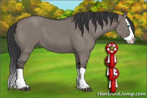 Horse Color:Grullo Splash 