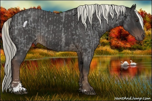 Horse Color:Liver Red Roan Sabino  and Liver Red Roan Sabino Rabicano 