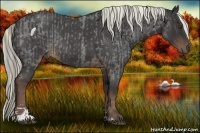 Horse Color:Liver Red Roan Sabino  and Liver Red Roan Sabino Rabicano 