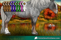 Horse Color:Liver Red Roan Mushroom Sabino  and Liver Red Roan Mushroom Sabino Rabicano 