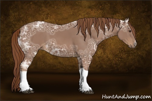 Horse Color:Chestnut Ice 