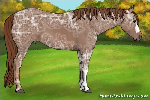 Horse Color:Chestnut Ice 