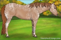 Horse Color:Chestnut Ice 