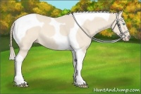 Horse Color:Perlino Tobiano