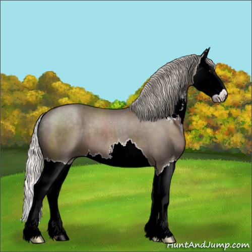 Horse Color:Silver Black Sabino Splash