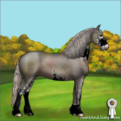 Horse Color:Silver Black Sabino 