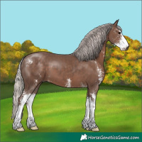 Horse Color:Silver Black Sabino