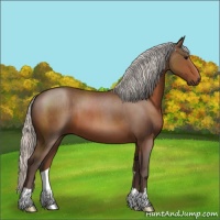 Horse Color:Silver Brown 