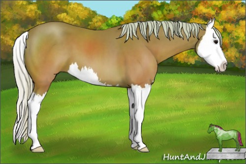 Horse Color:Watercolor Silver Brown Sabino Splash