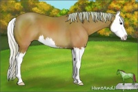 Horse Color:Watercolor Silver Brown Sabino Splash